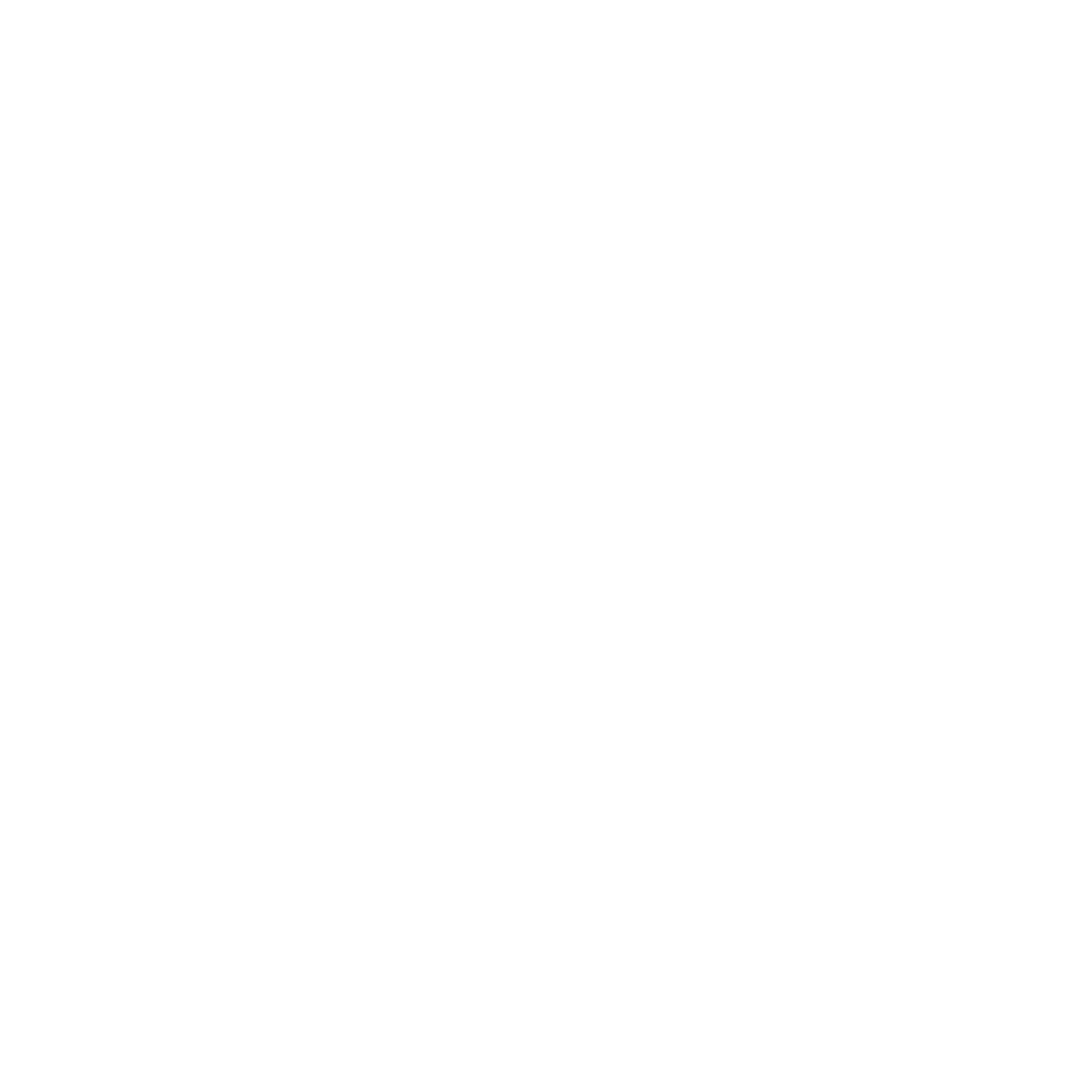 Mahsa Babaie Coaching